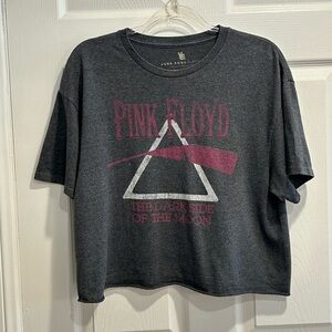 Junk Food Pink Floyd Cropped T-Shirt Size M
